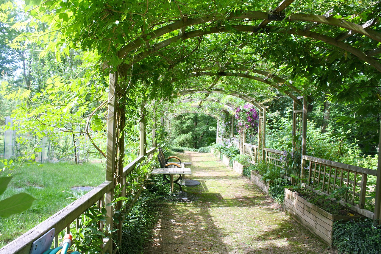 pergola shady walk garden walk free photo