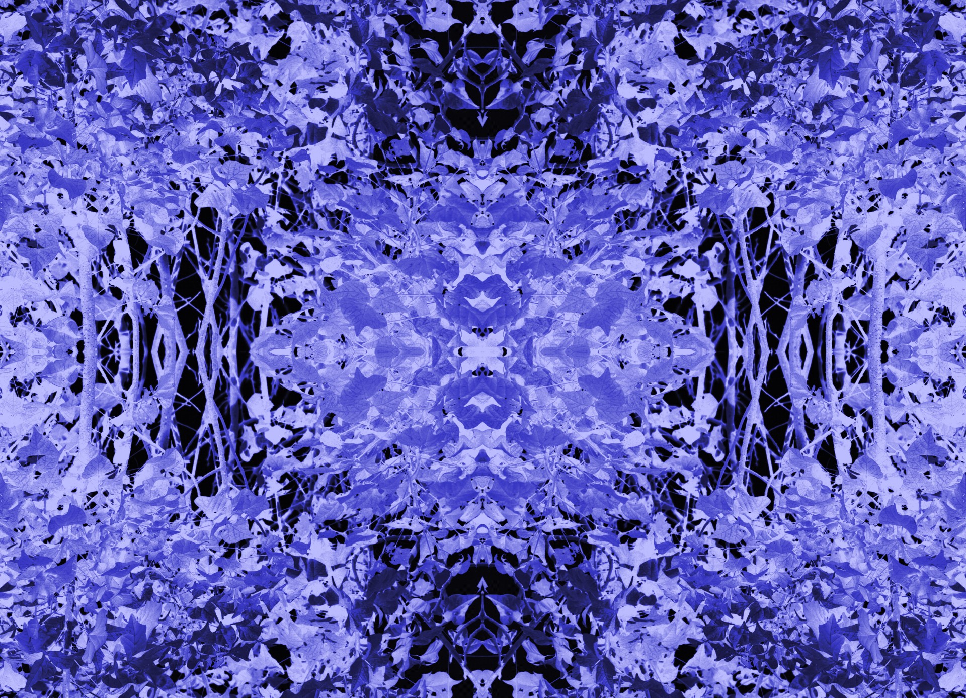 pattern print blue free photo