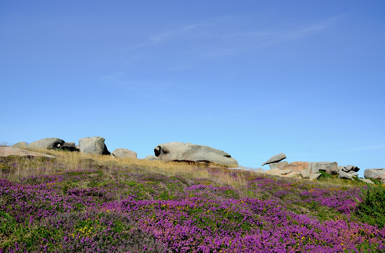 perros-guirec  pink granite  britain free photo