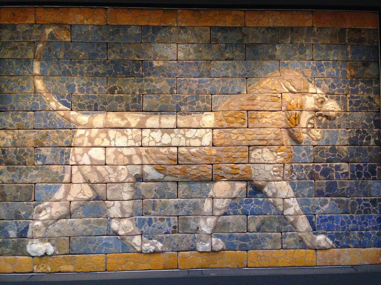 persian leon london free photo