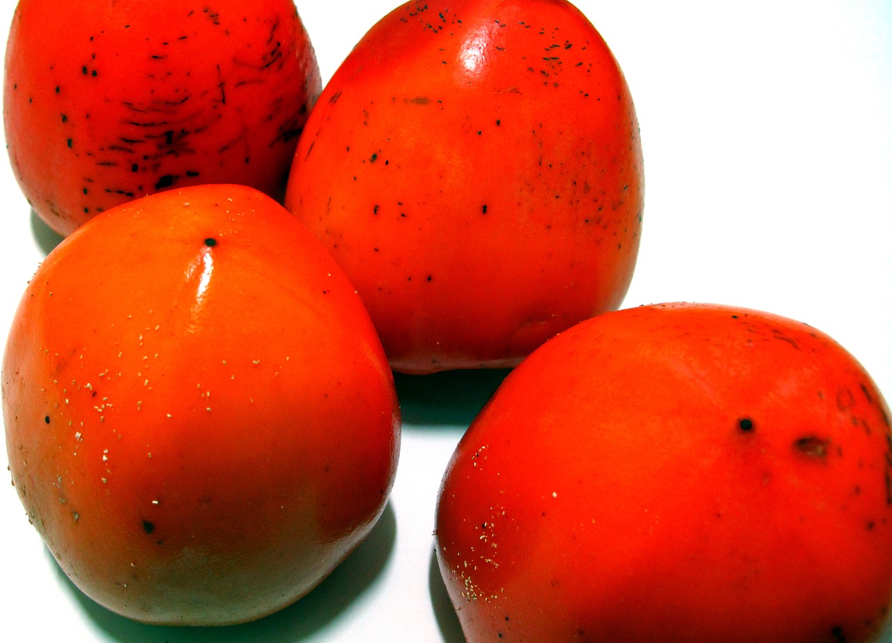 persimmon fruit home free photo