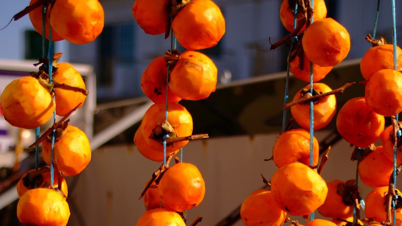 persimmon  dried persimmon  fruit free photo