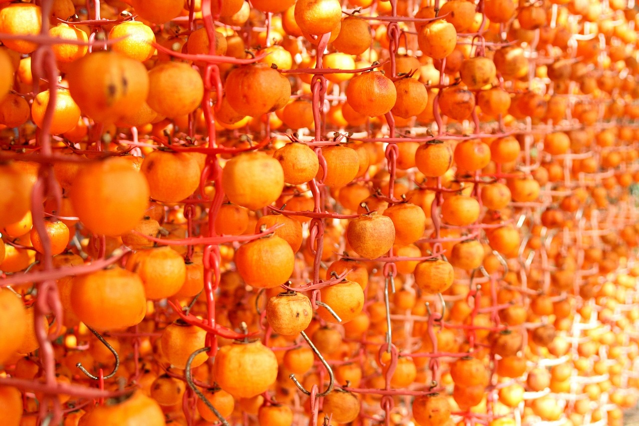 persimmon orange fruit free photo