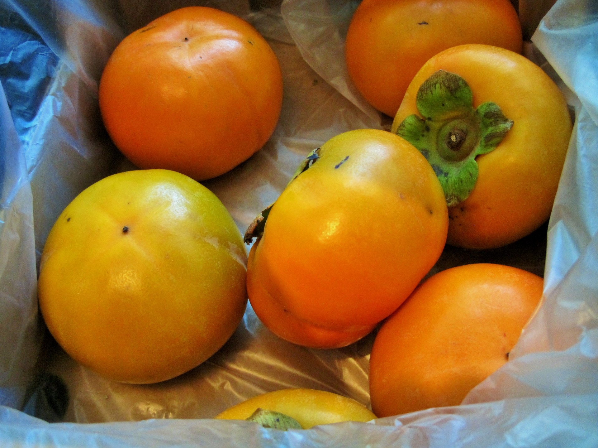 fruit persimmons orange free photo