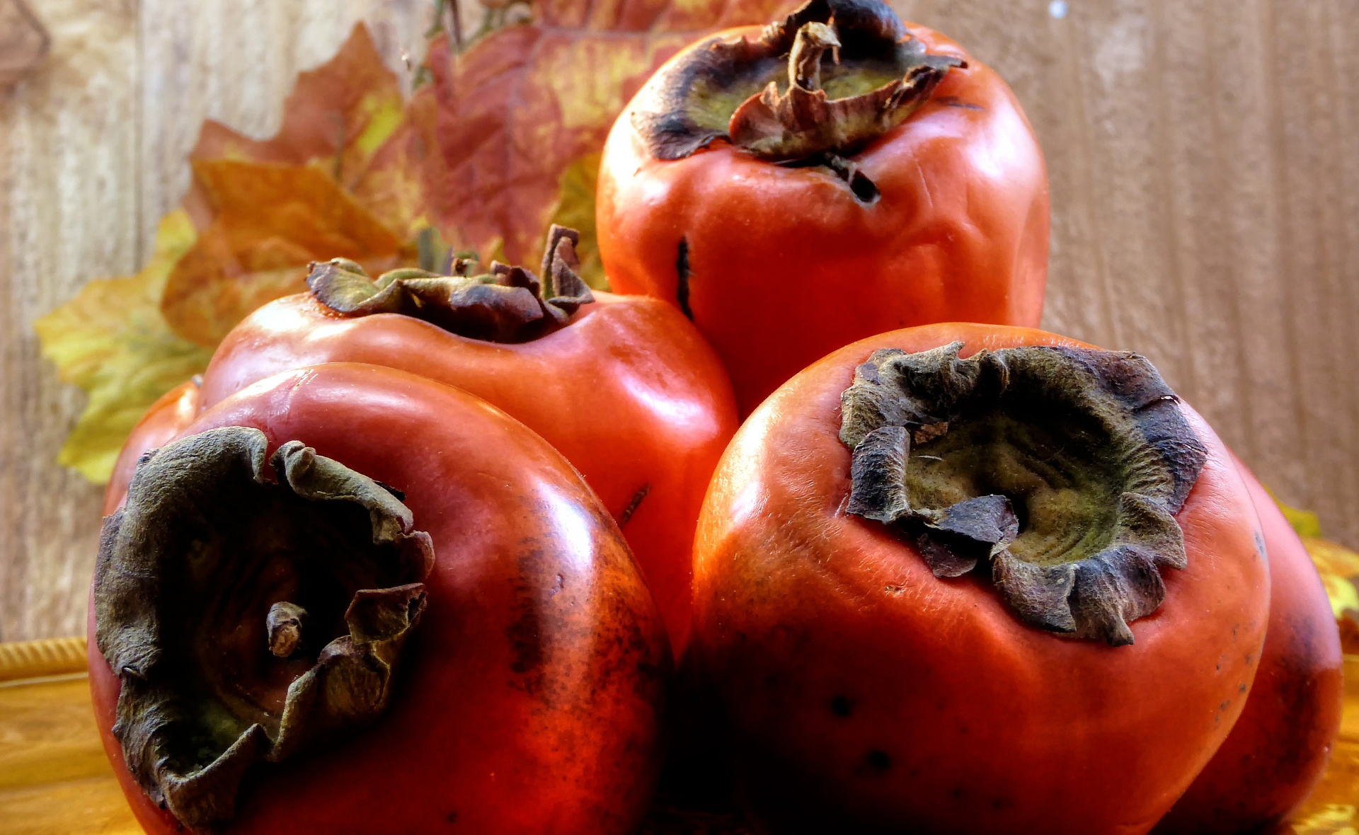 persimmon persimmons fruit free photo
