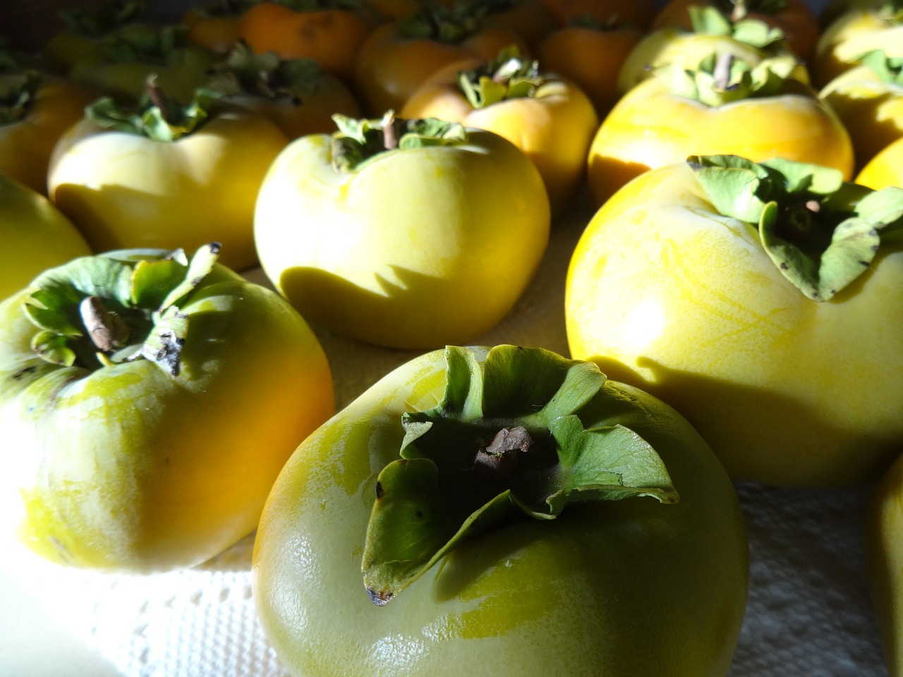 persimmons fruit fresh free photo