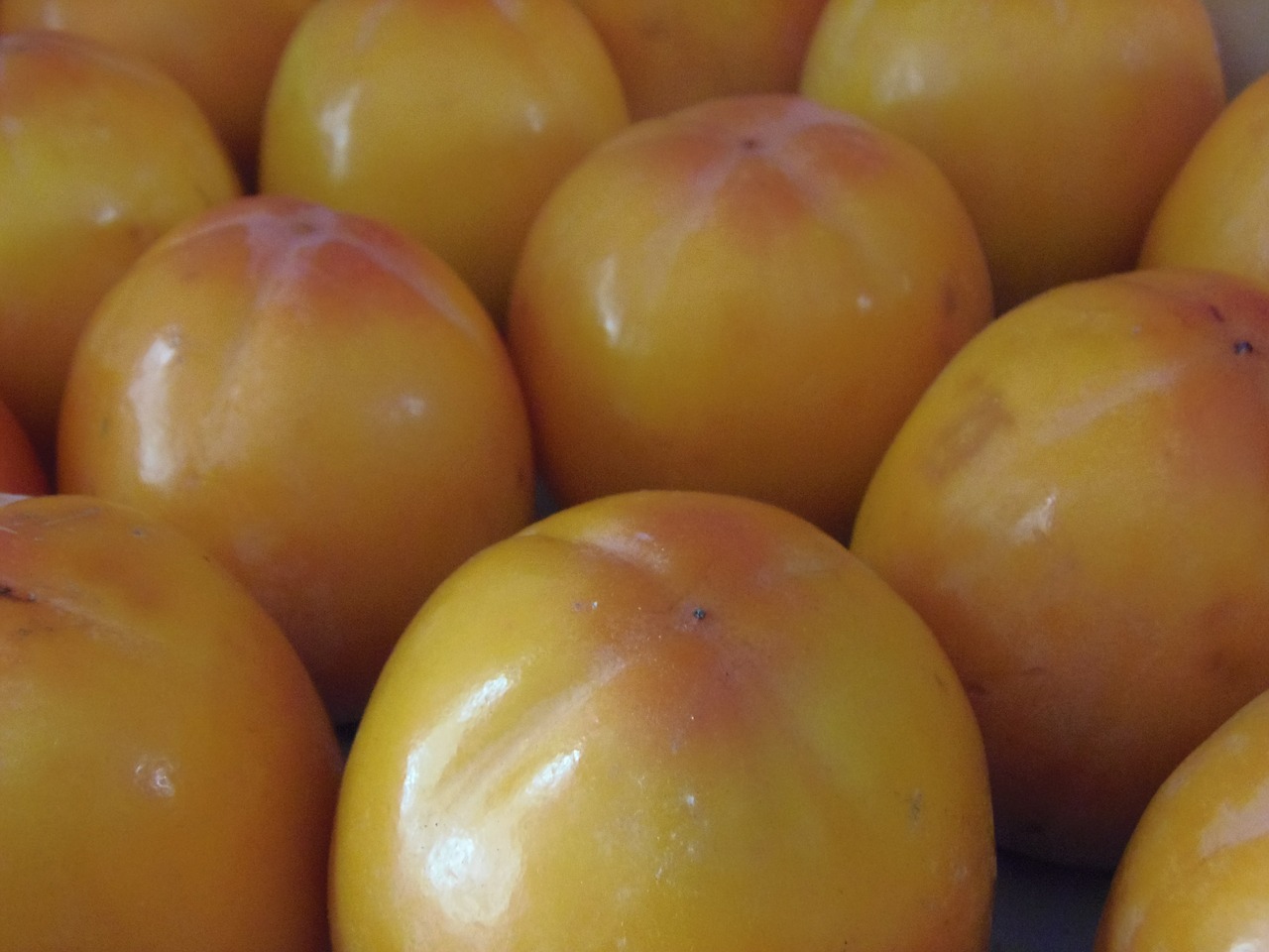 persimmons sweet mediterranean free photo