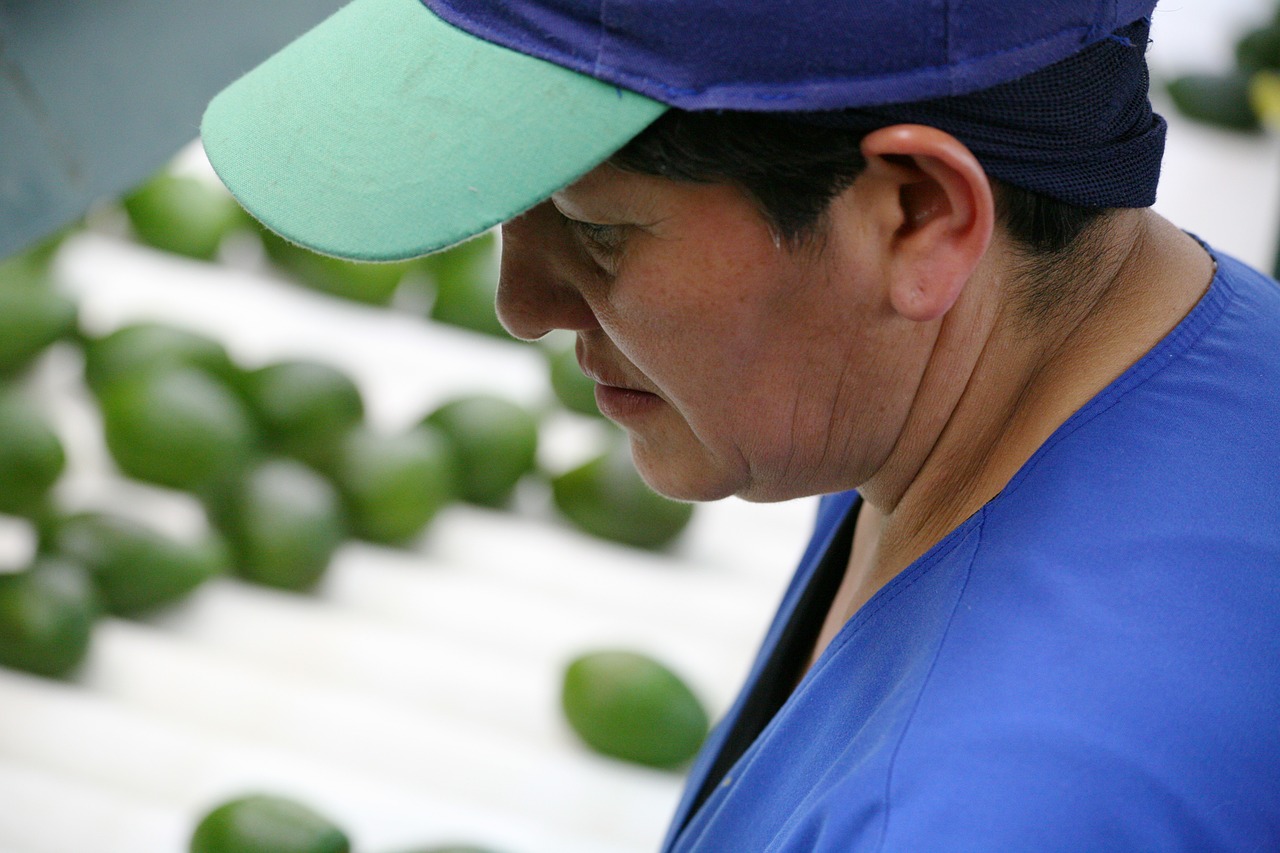 person packing worker free photo