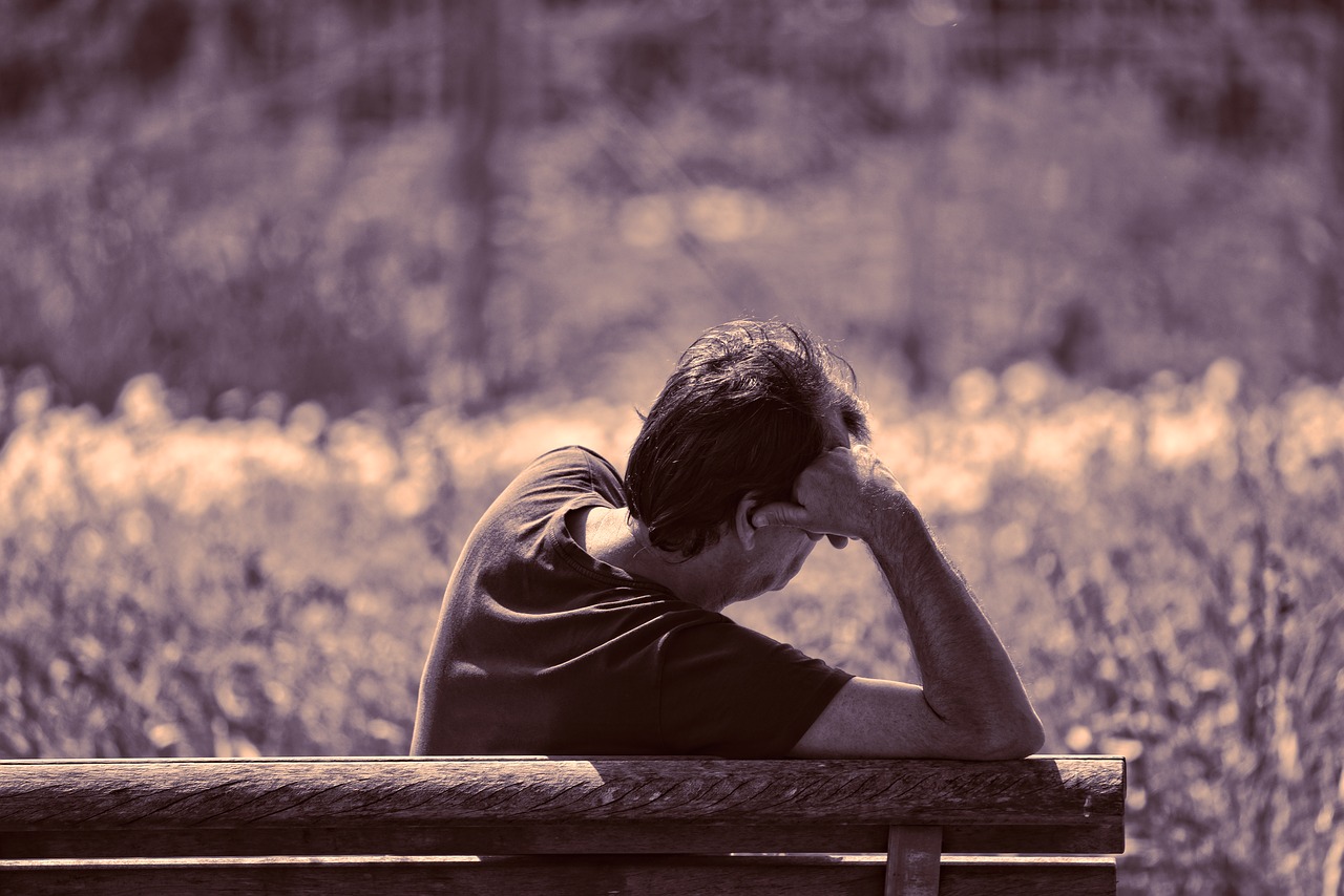 person  man  sitting free photo