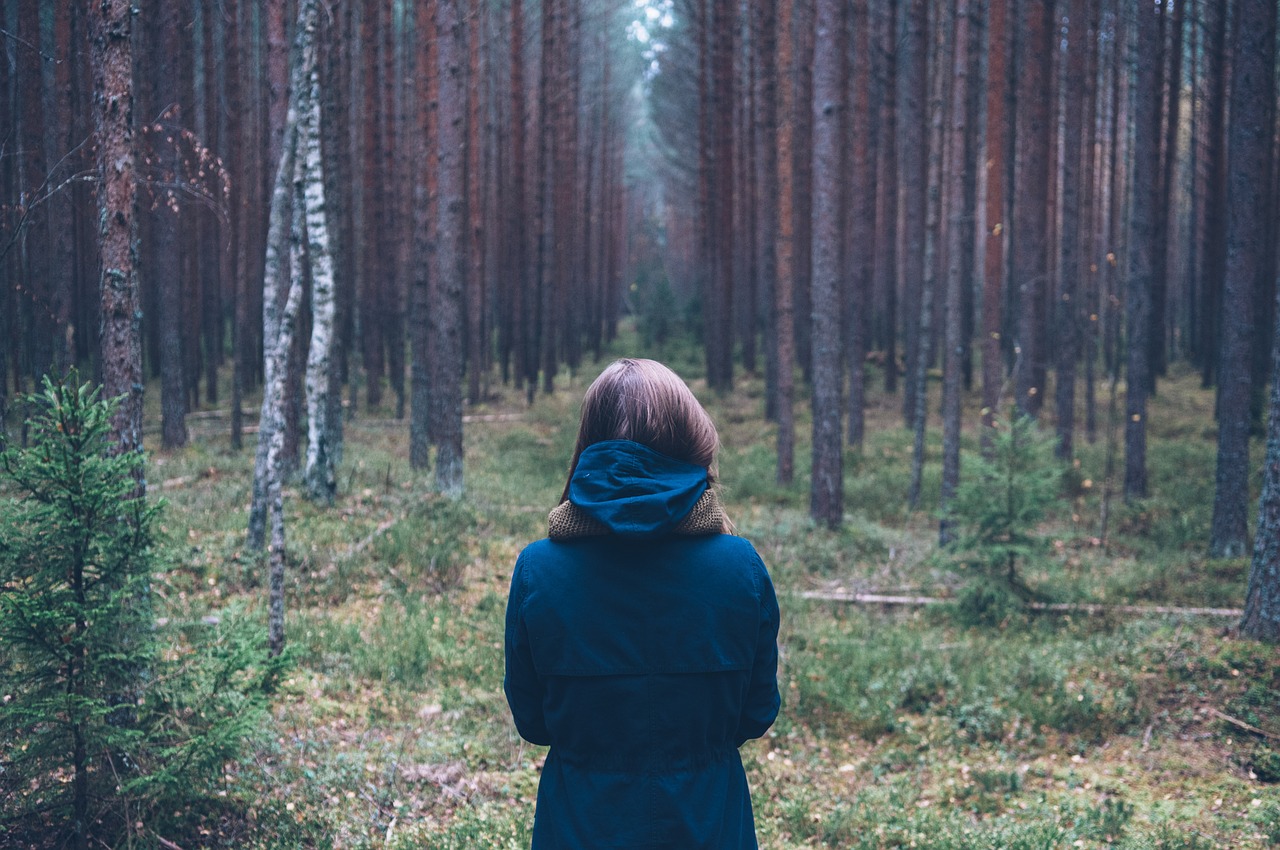 person forest outdoor free photo