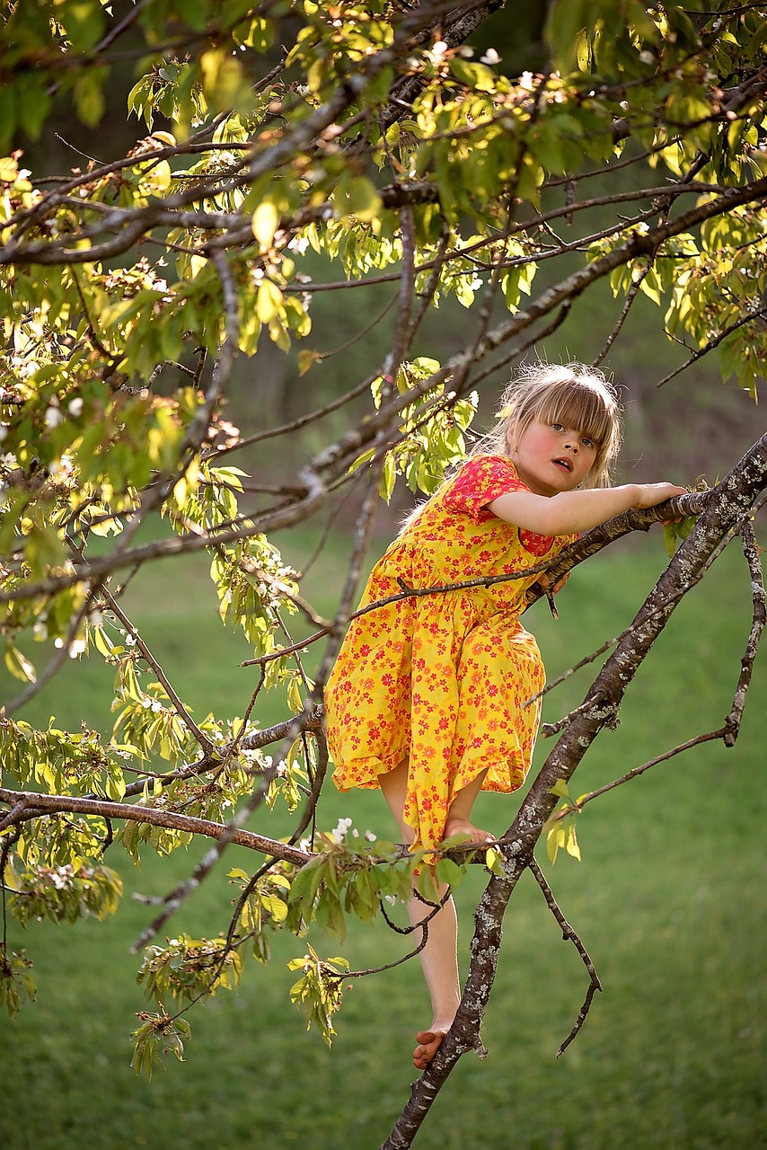 person human child free photo