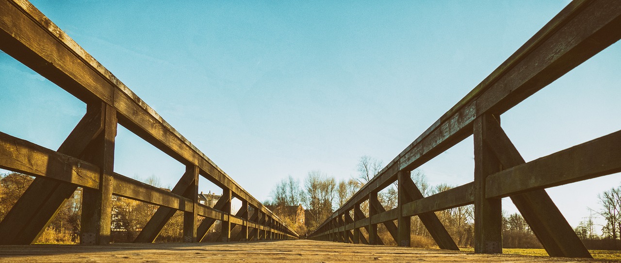 perspective autumn web free photo