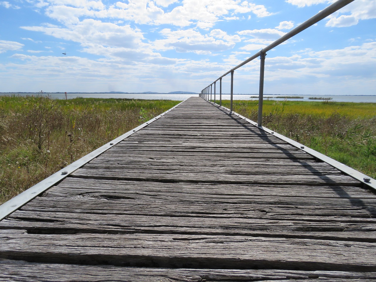 perspective wooden green free photo