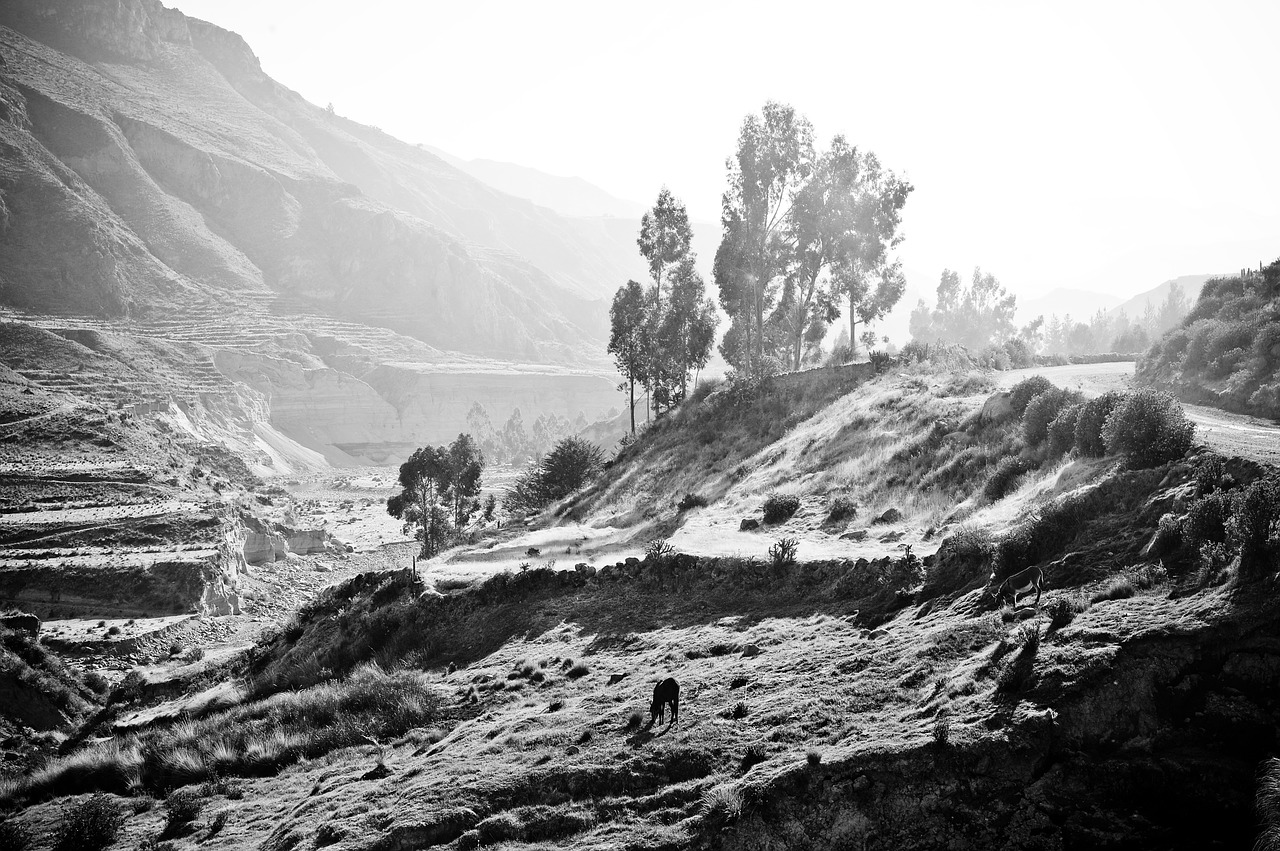 peru the colca valley inca free photo