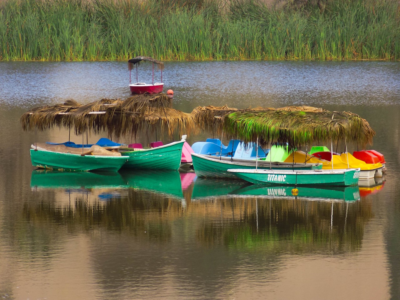 peru nature huacachina free photo