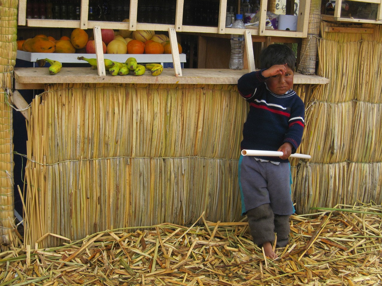 peru boy hut free photo