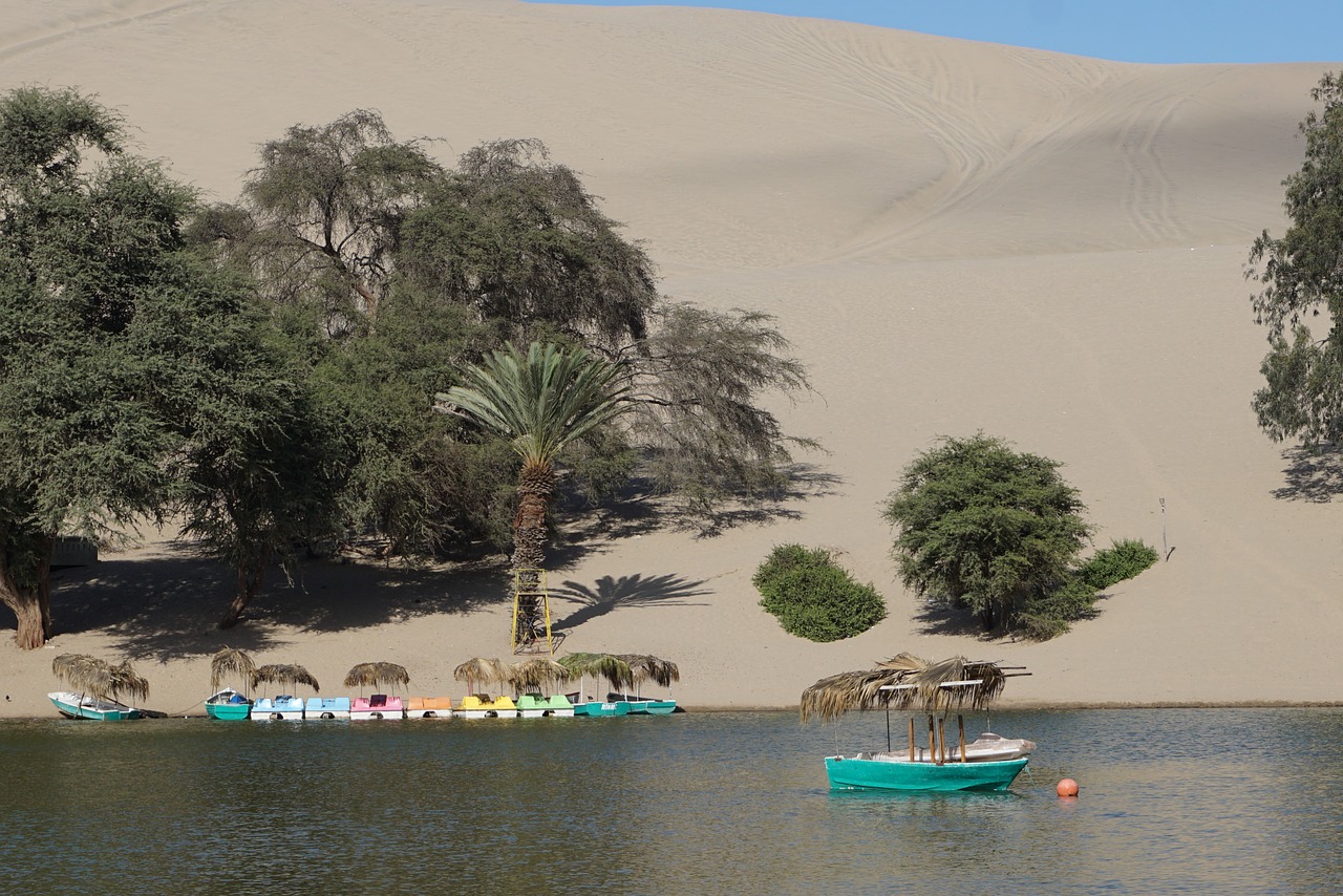 peru  desert  oasis free photo