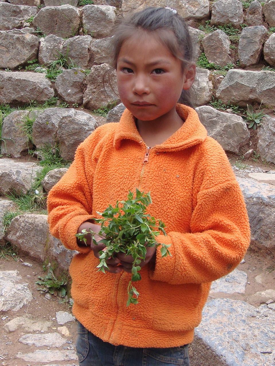 peru girl child free photo