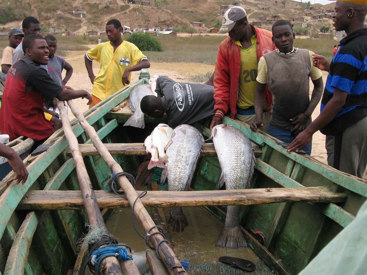 pescadores angola men free photo