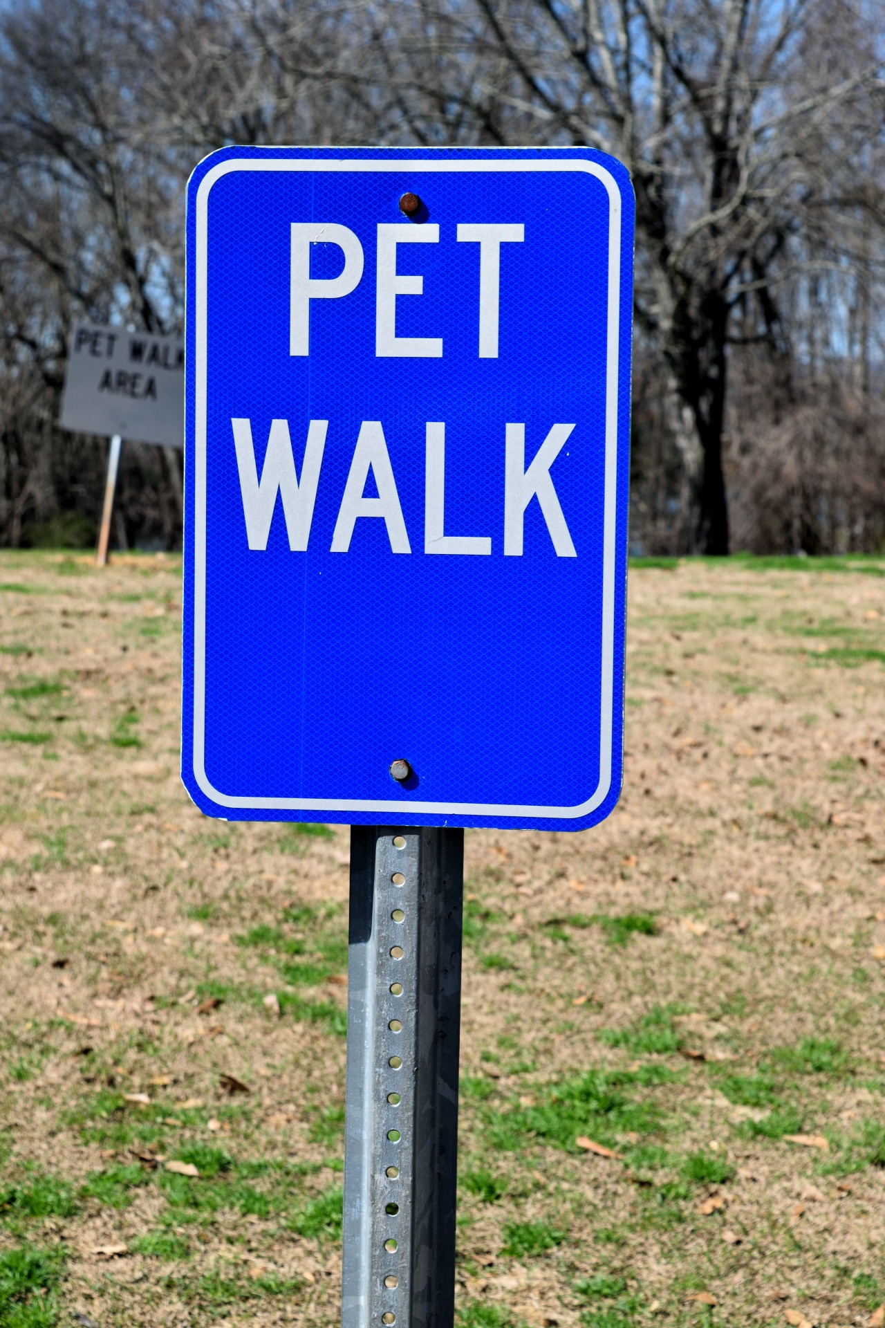 pet walk sign sign pet free photo