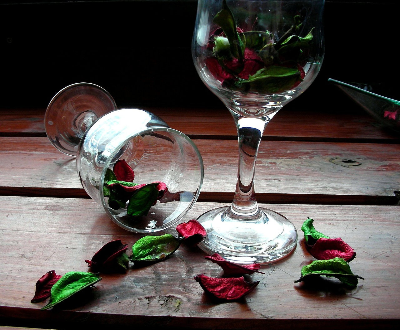 petals day wine glasses free photo
