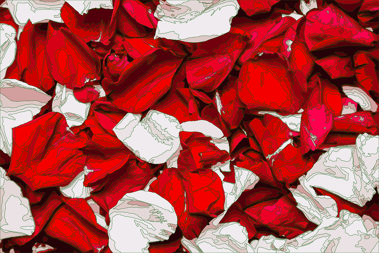 petals  abstract  mock up free photo