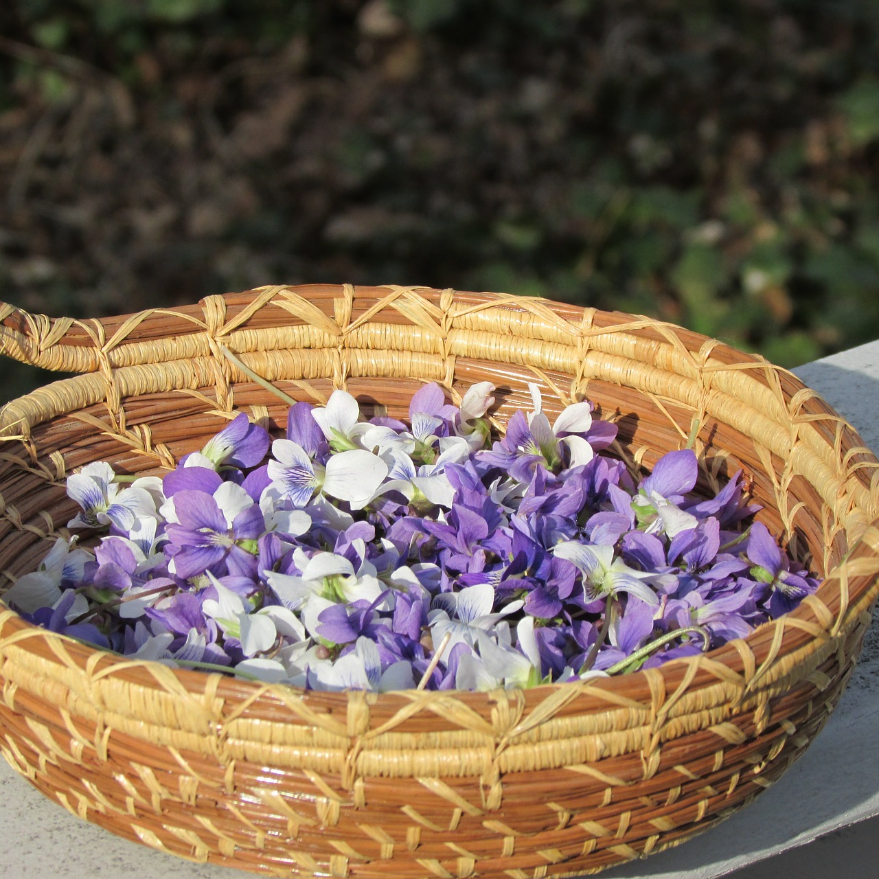 petals basket violet free photo