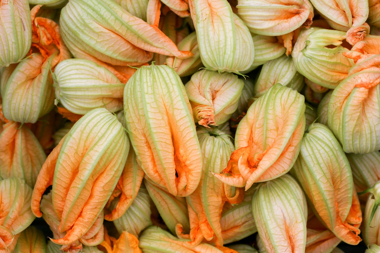 petals of zucchini flower gastronomy free photo