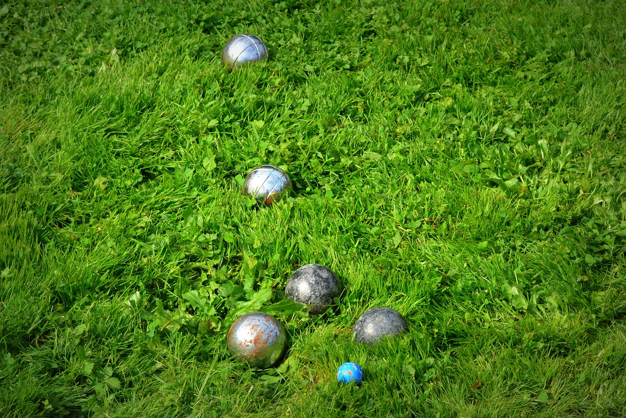 petanque grass balls free photo