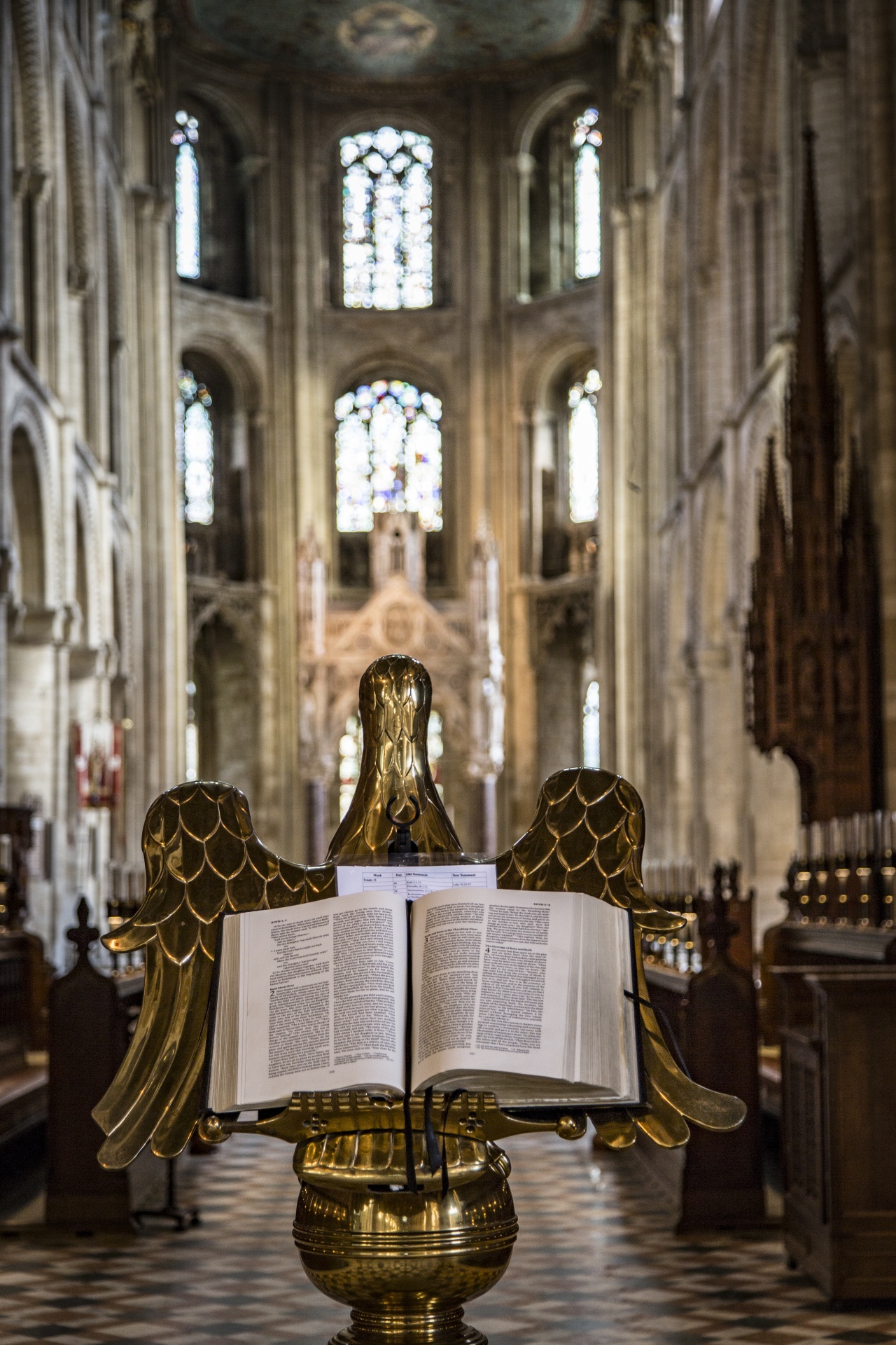 peterborough cathedral cathedral peterborough - cambridgeshire free photo