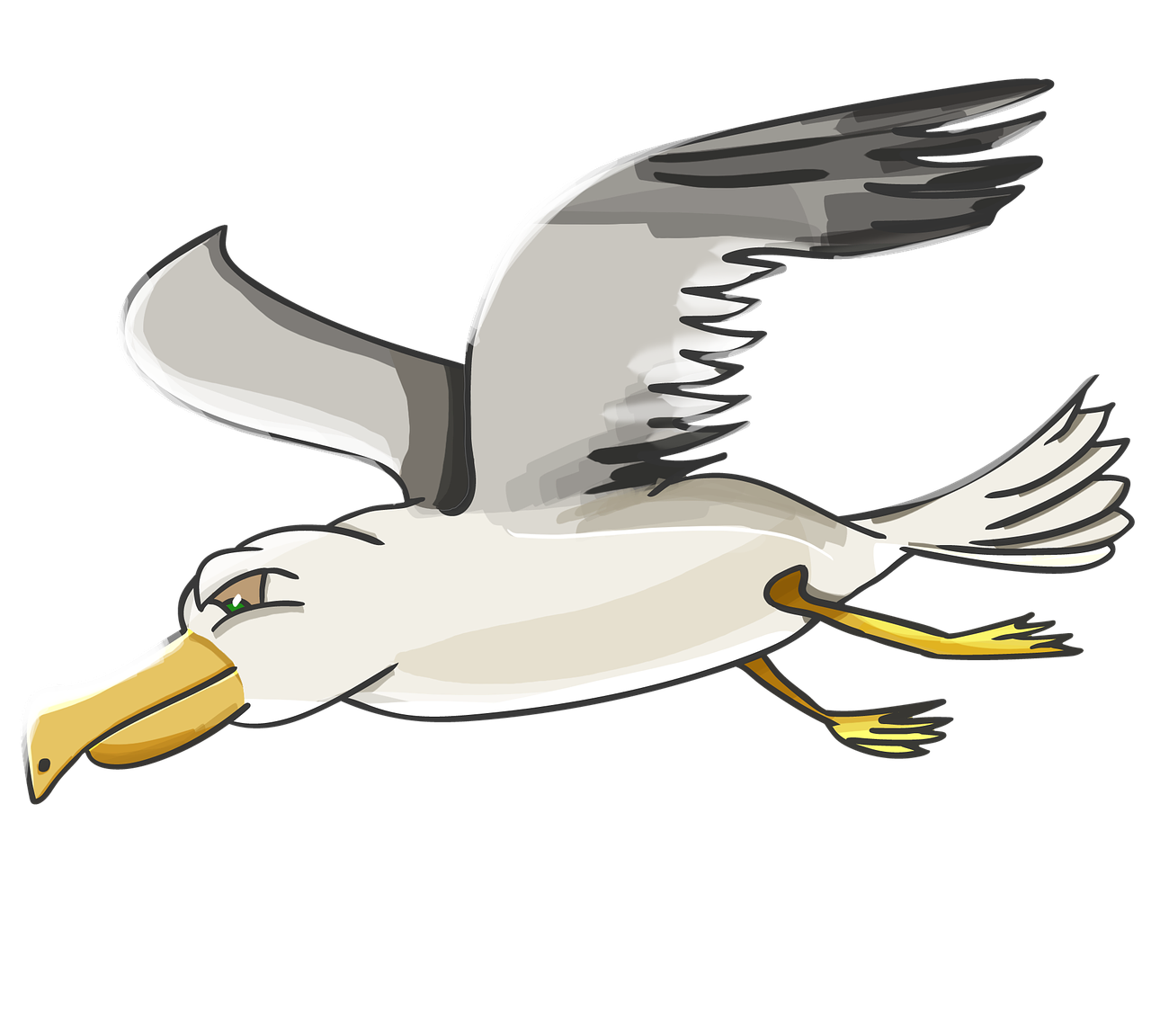 petrel outlander seagull free photo