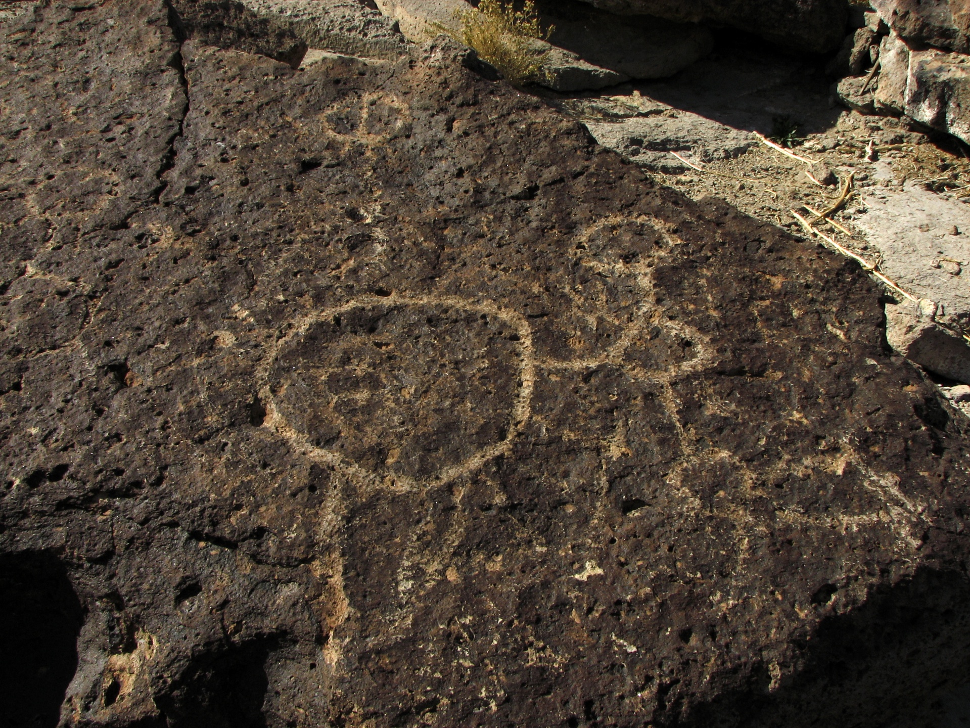 petroglyph rock etching free photo