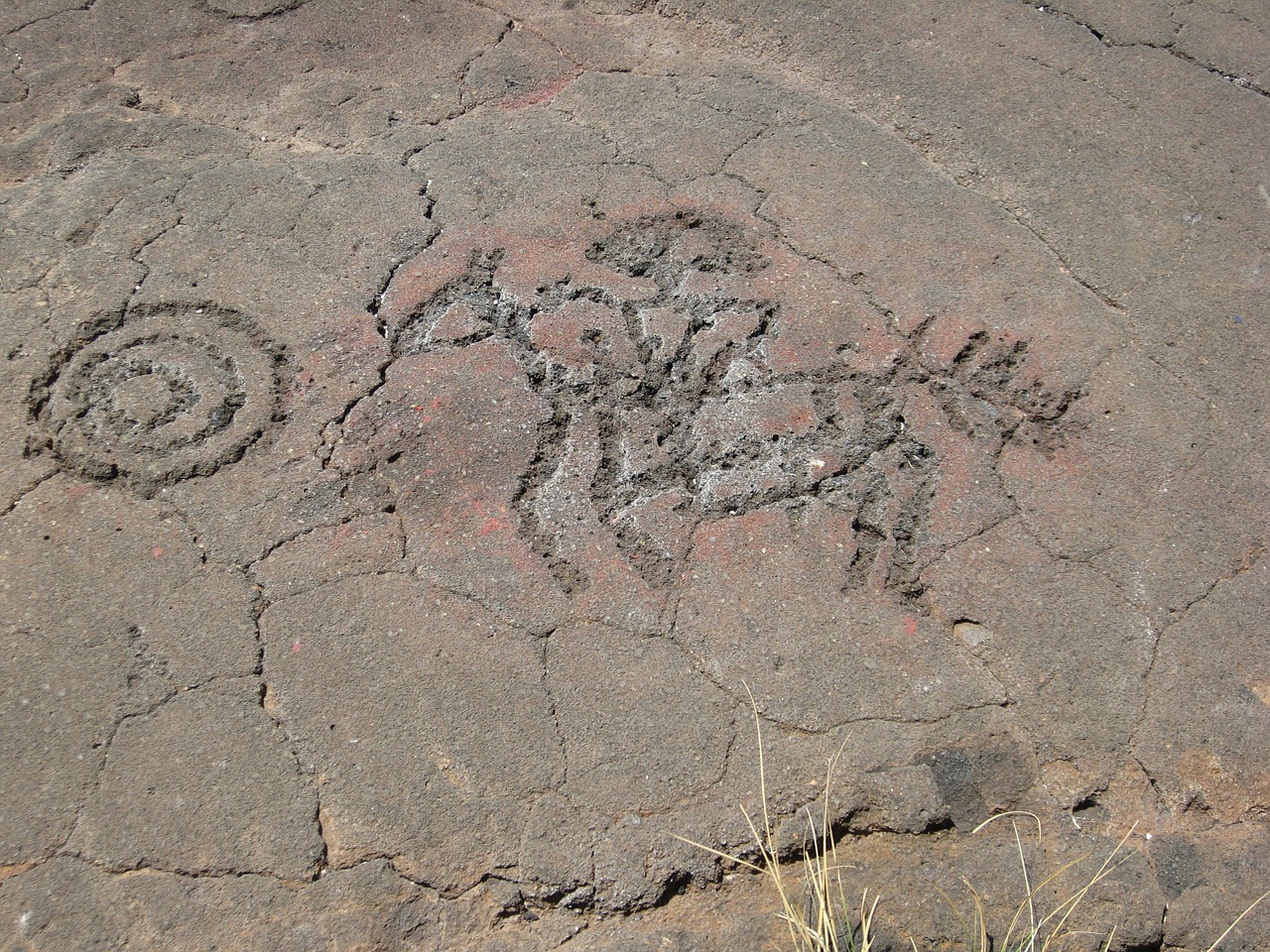 petroglyphs symbols native american free photo