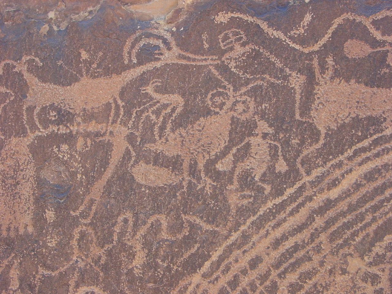 petroglyphs rock art utah free photo