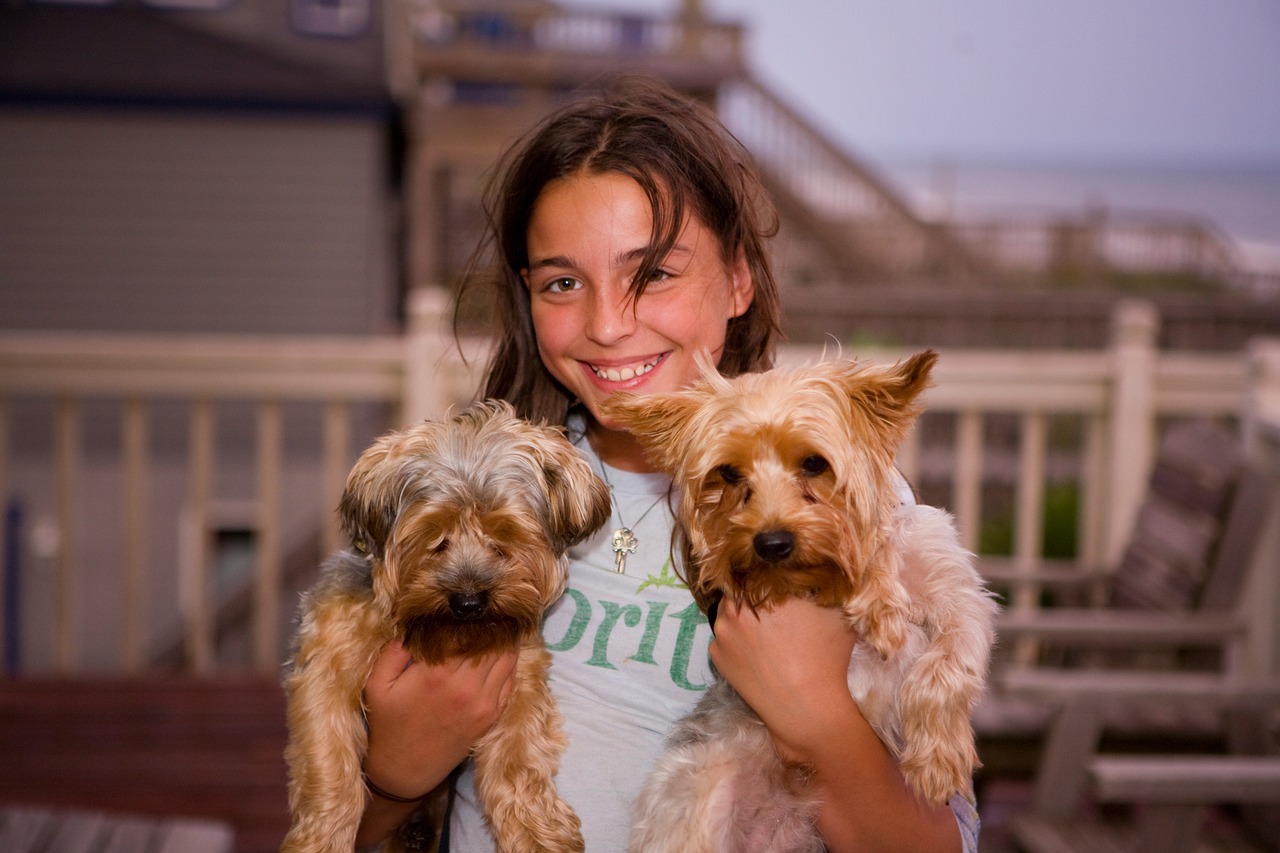 pets kids dogs free photo