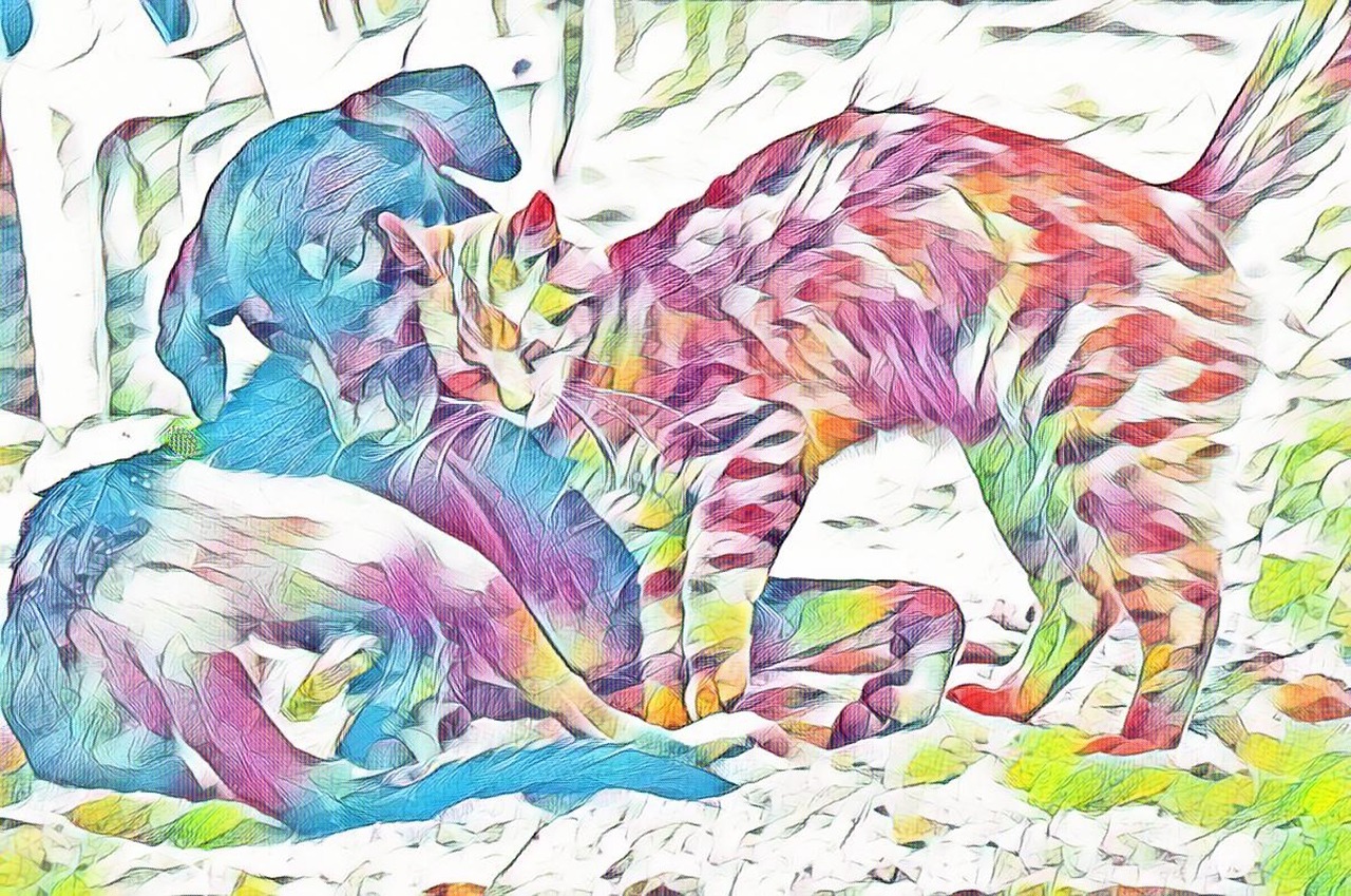 pets  drawing  art free photo