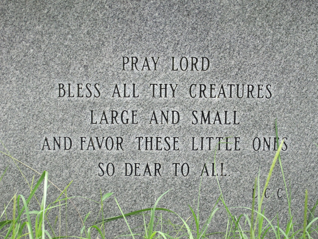 pets grave prayer free photo