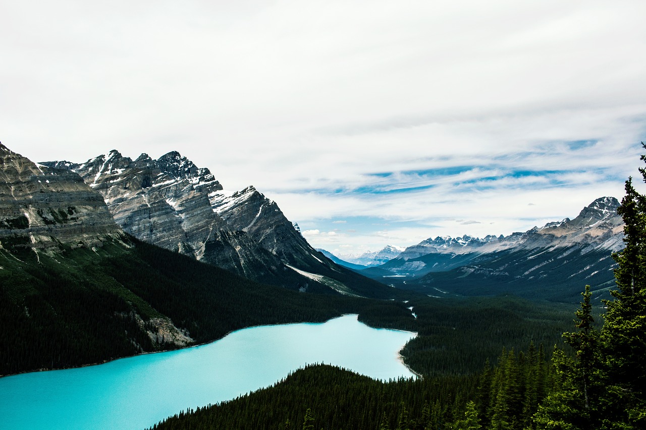 peyto lake peyto lake free photo