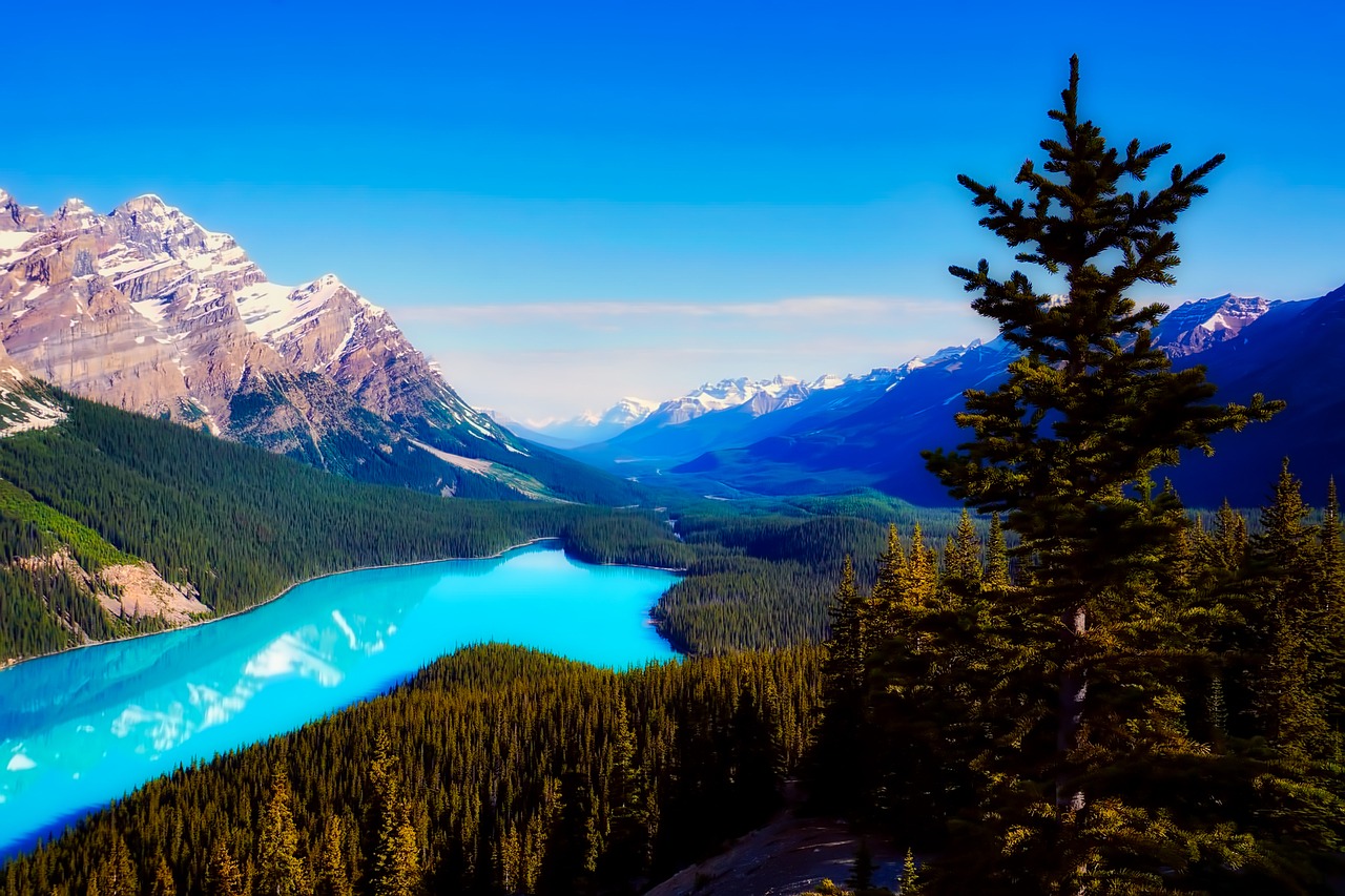 peyto lake canada mountains free photo