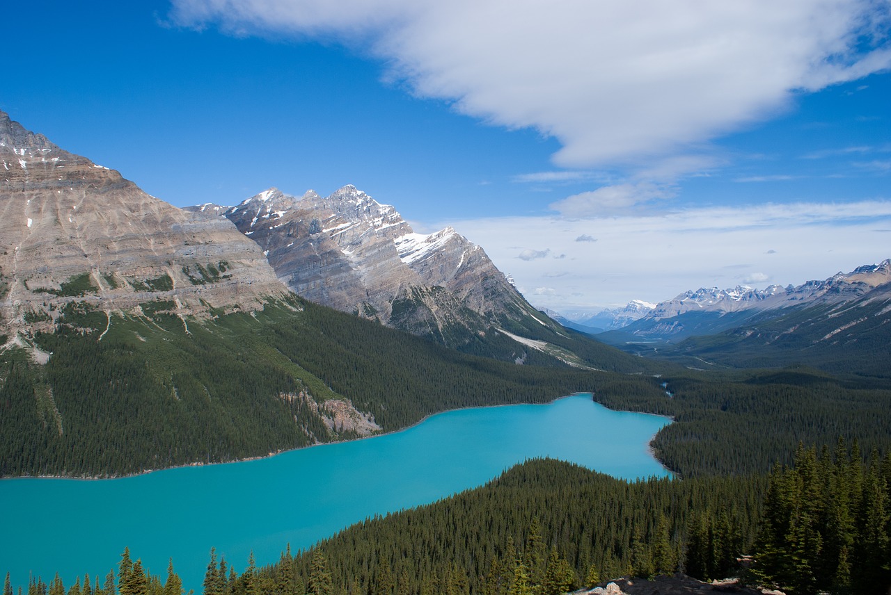 peytolake  canada  lake free photo