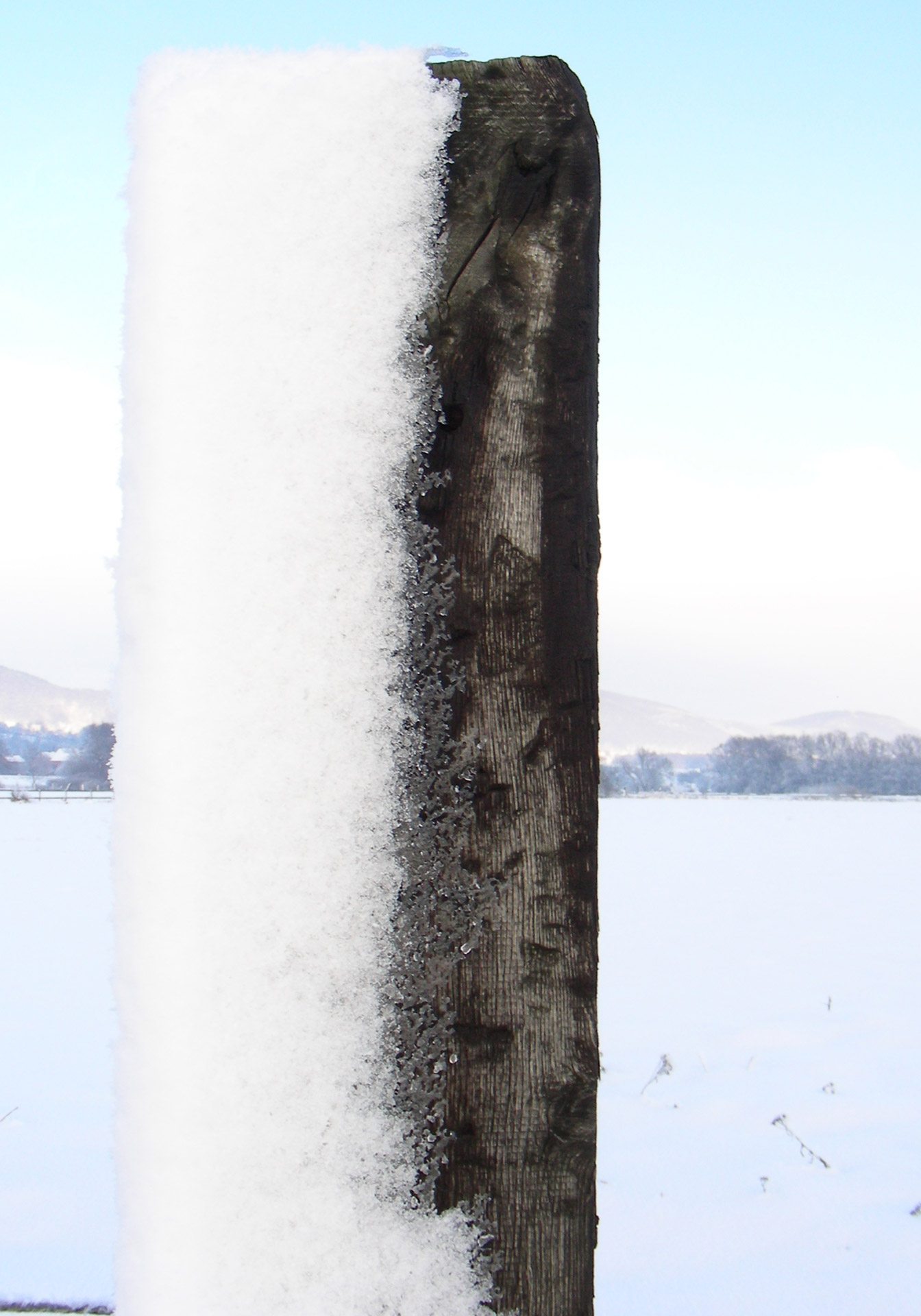 winter snow grass free photo