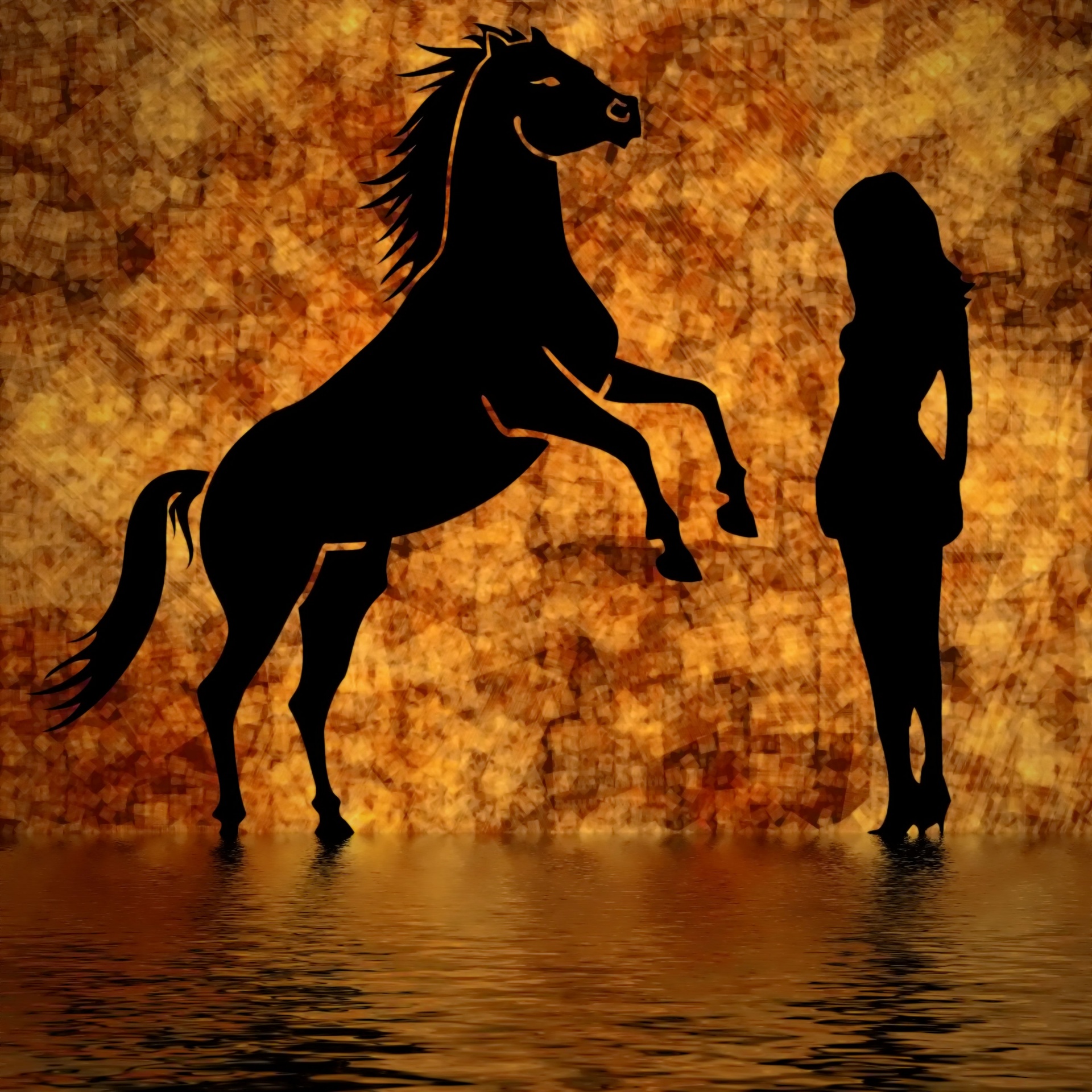 horse horses silhouette free photo