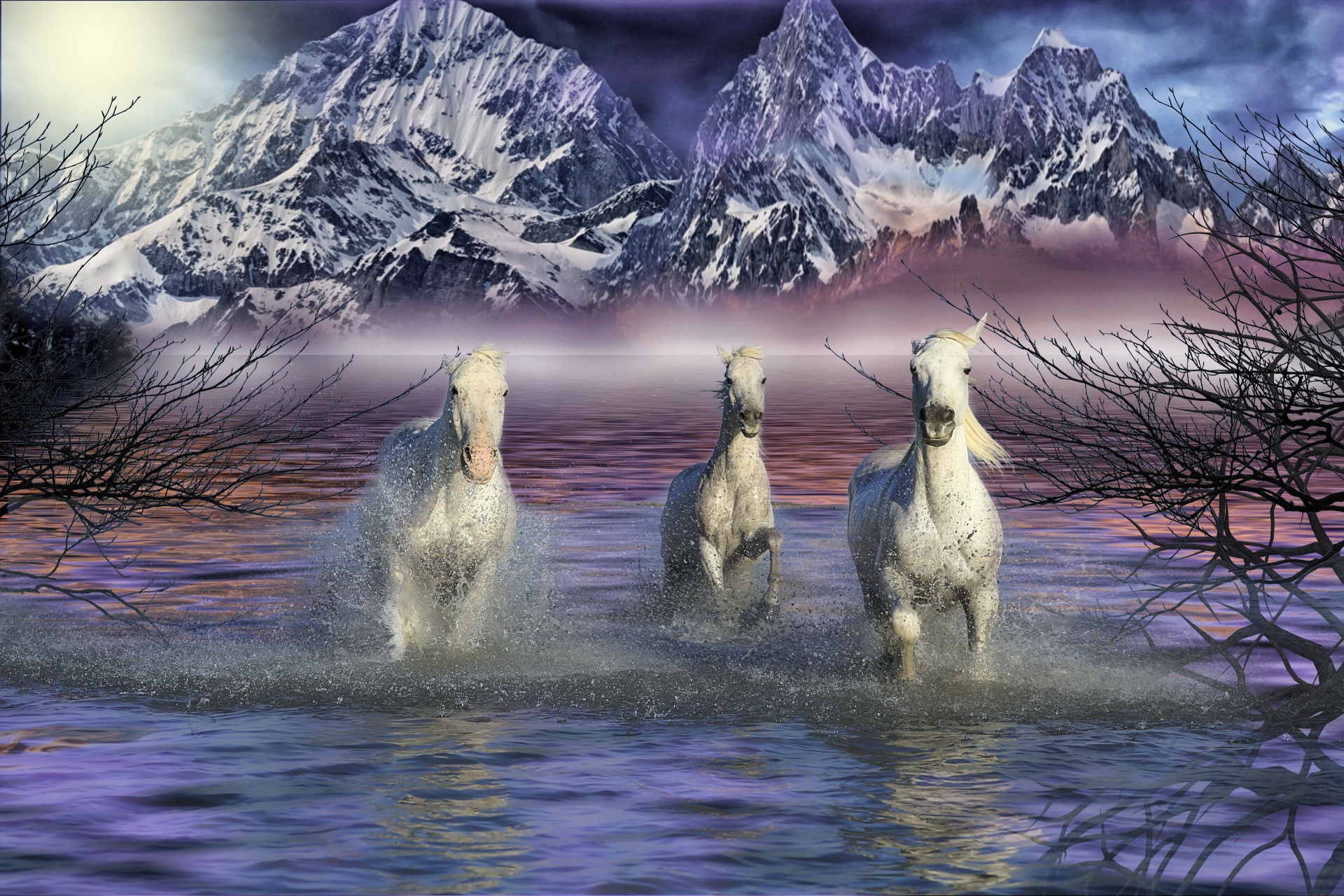horses water mountains free photo