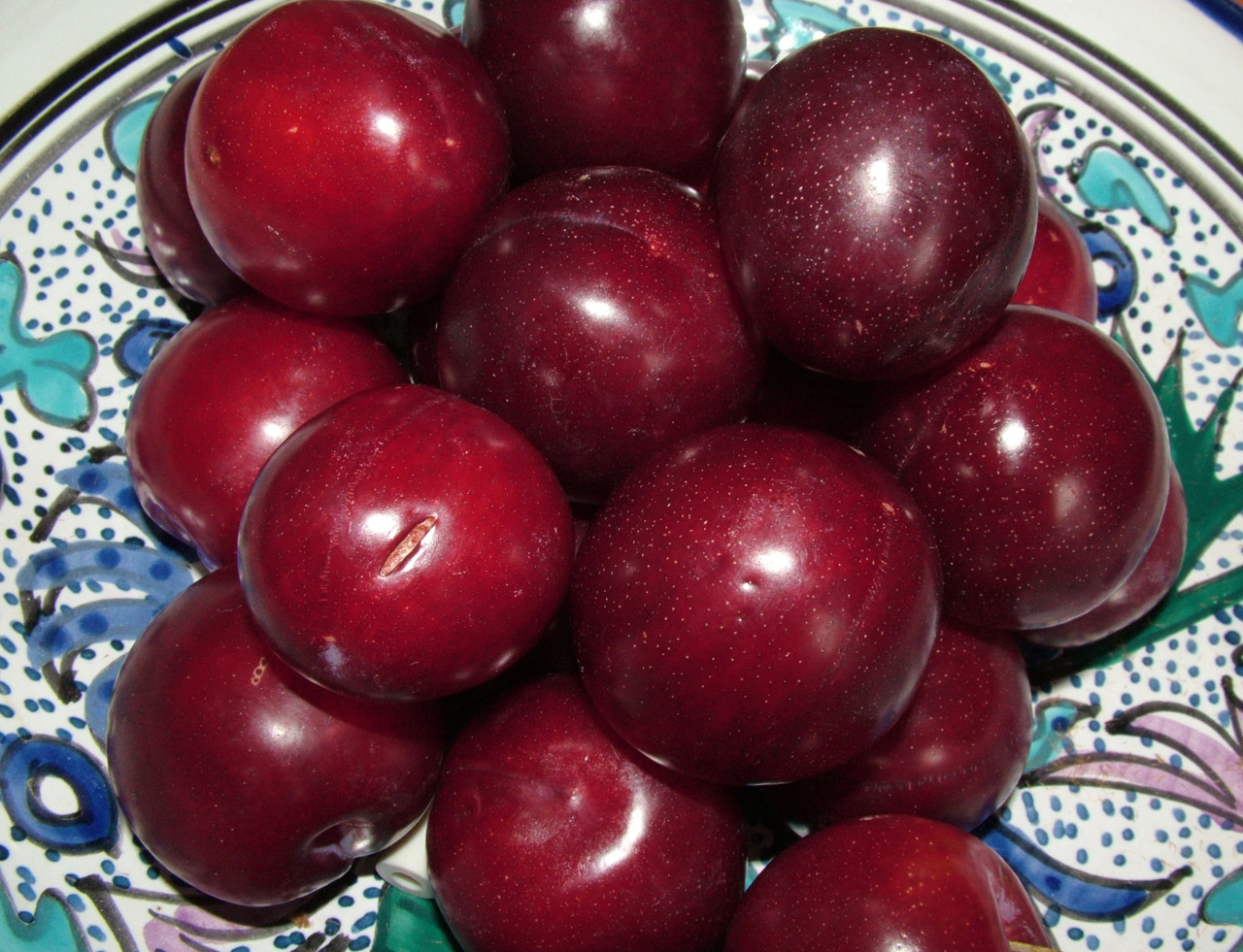 plums digestion fruit free photo