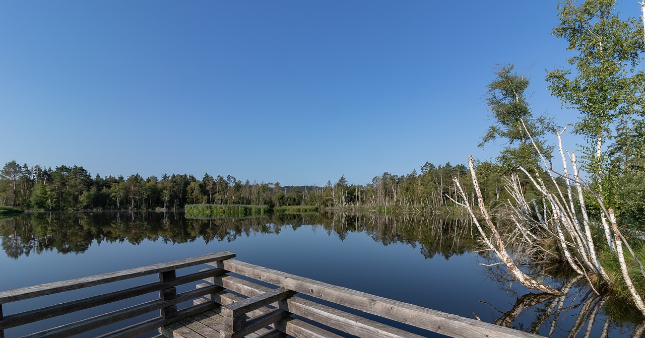 pfrunger castle hamlets of ried  nature conservation  nature free photo