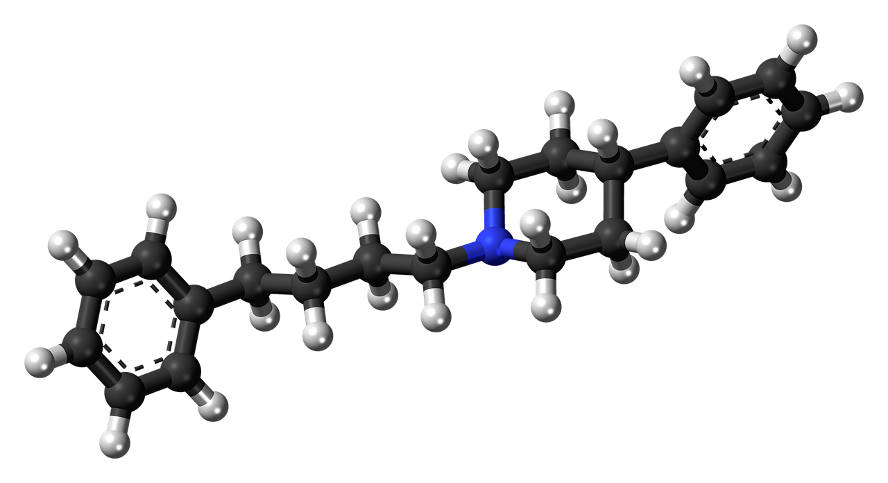 phenyl-phenylbutyl-piperidine ppbp chemistry free photo