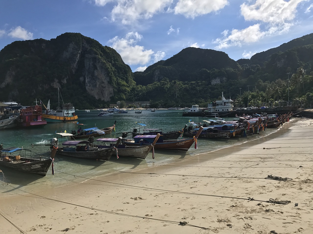 phi phi island tropical island thailand free photo