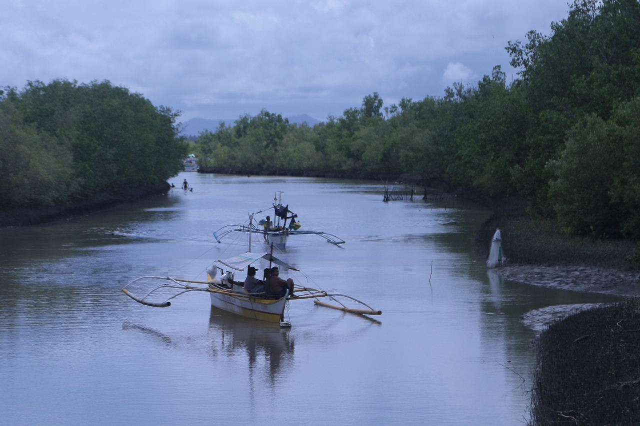 philippine lotto central fisherman catching fish free photo