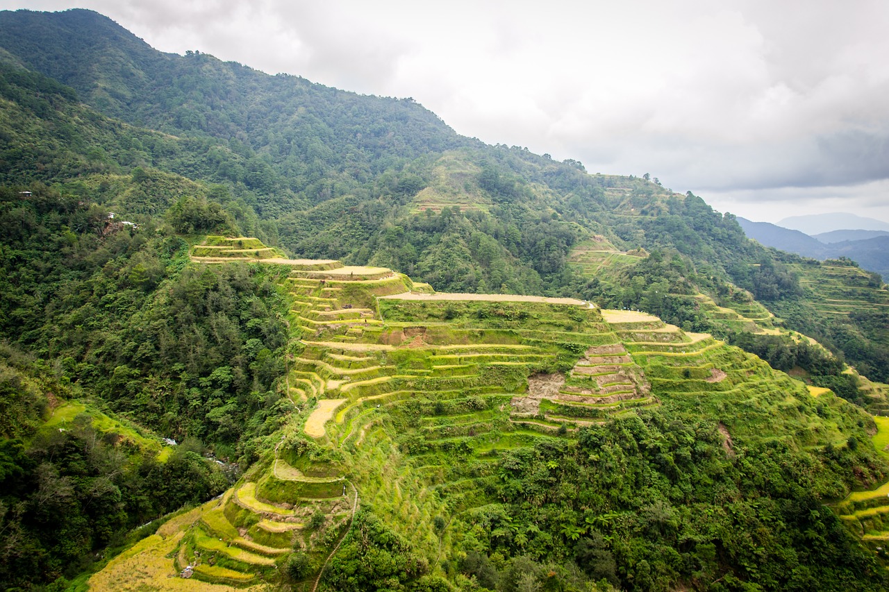 philippines  rice terraces  banaue free photo