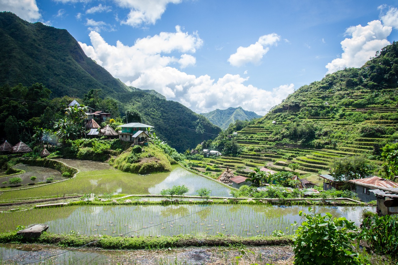 philippines  rice terraces  batad free photo